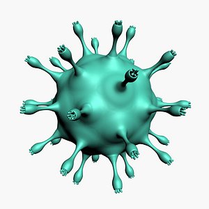 3D virus model