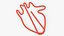 Anatomic Heart Shape