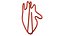 Anatomic Heart Shape