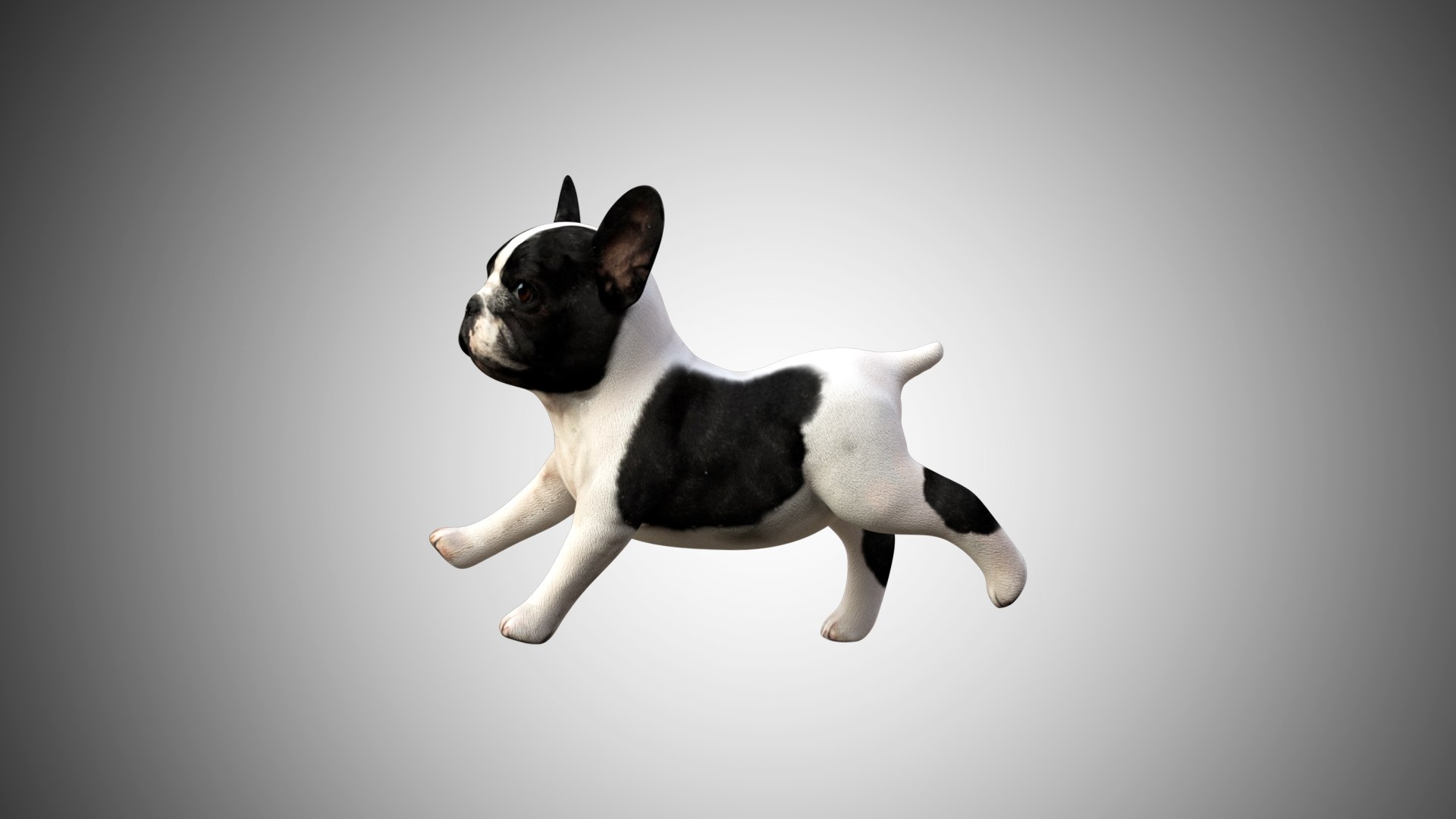 bulldog french cute 3D https://p.turbosquid.com/ts-thumb/Vz/GKt53B/hi8GEU0C/bulldog_08/jpg/1599088497/1920x1080/fit_q87/94422cb638f7437d0f93bcd98afba33ed933c794/bulldog_08.jpg