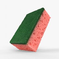 Photorealistic  scan of sponge