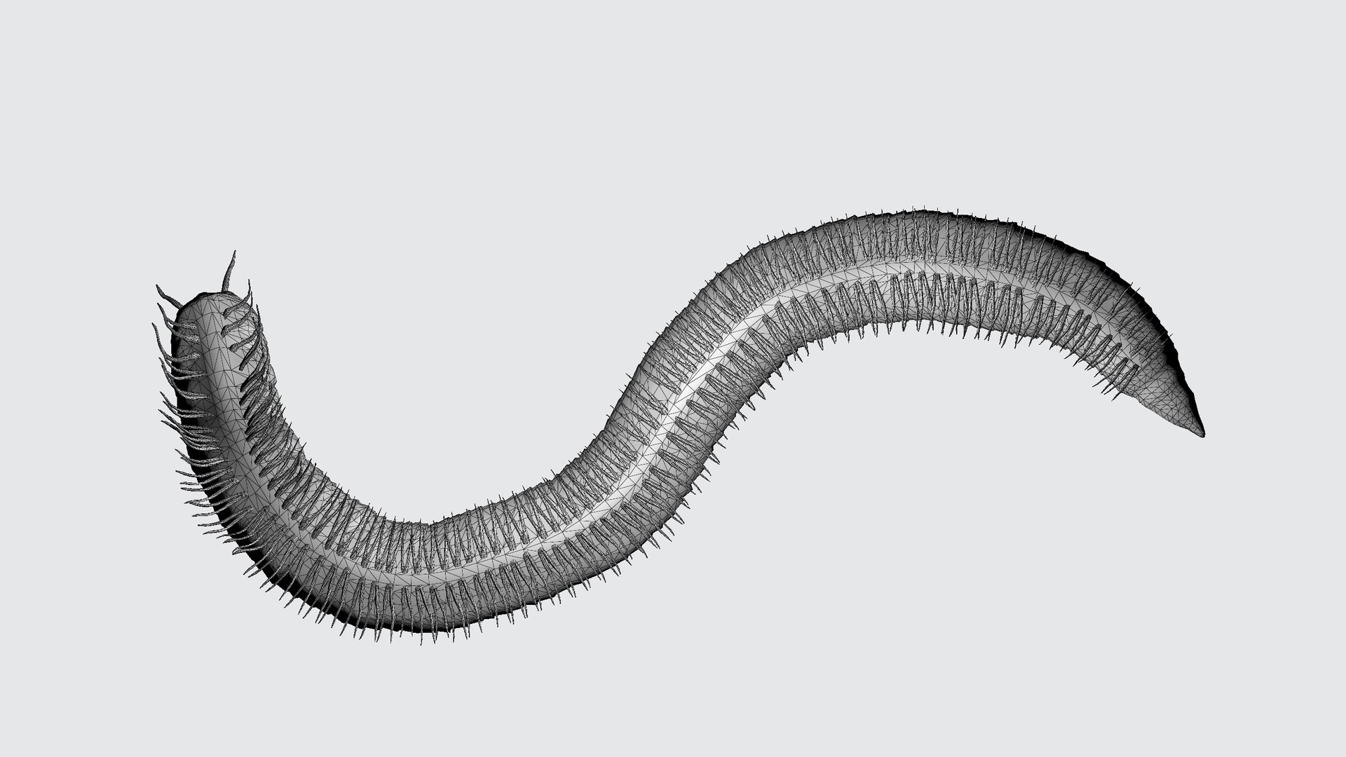 3D Curious Millipede - TurboSquid 2407642