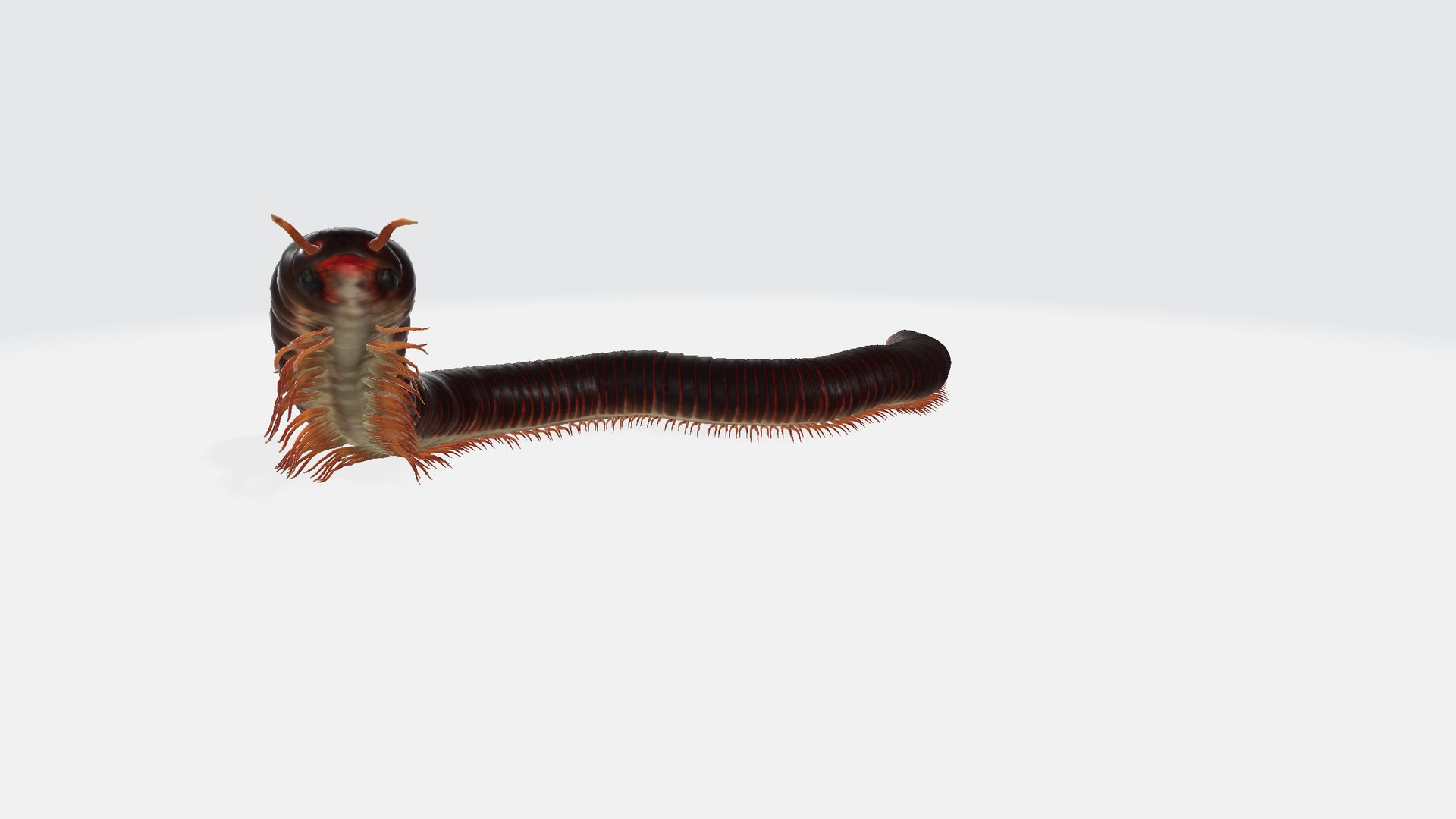 3D Curious Millipede - TurboSquid 2407642
