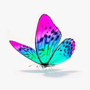 3D Butterfly Rigged Lowpoly model
