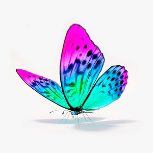 Butterfly Rigged Lowpoly