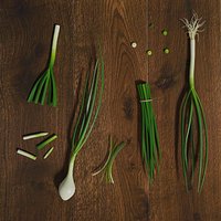 Green Onion Low Poly photorealistic scene