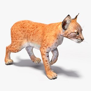 Lynx Cub Rigged for Cinema 4D