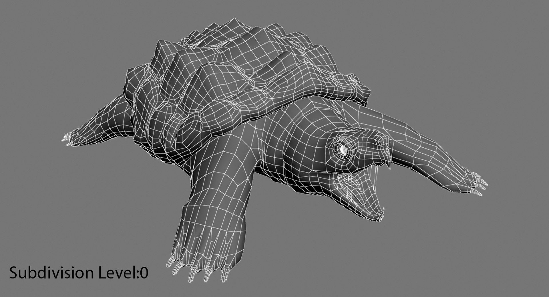 3d Alligator Turtle Animation