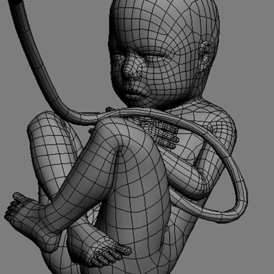 3d model fetus https://p.turbosquid.com/ts-thumb/Vz/xXOeyk/BCmph5RT/fetus_06/jpg/1278371538/1920x1080/fit_q87/a5afe623303d0abe49a29a5acd87495b58135855/fetus_06.jpg