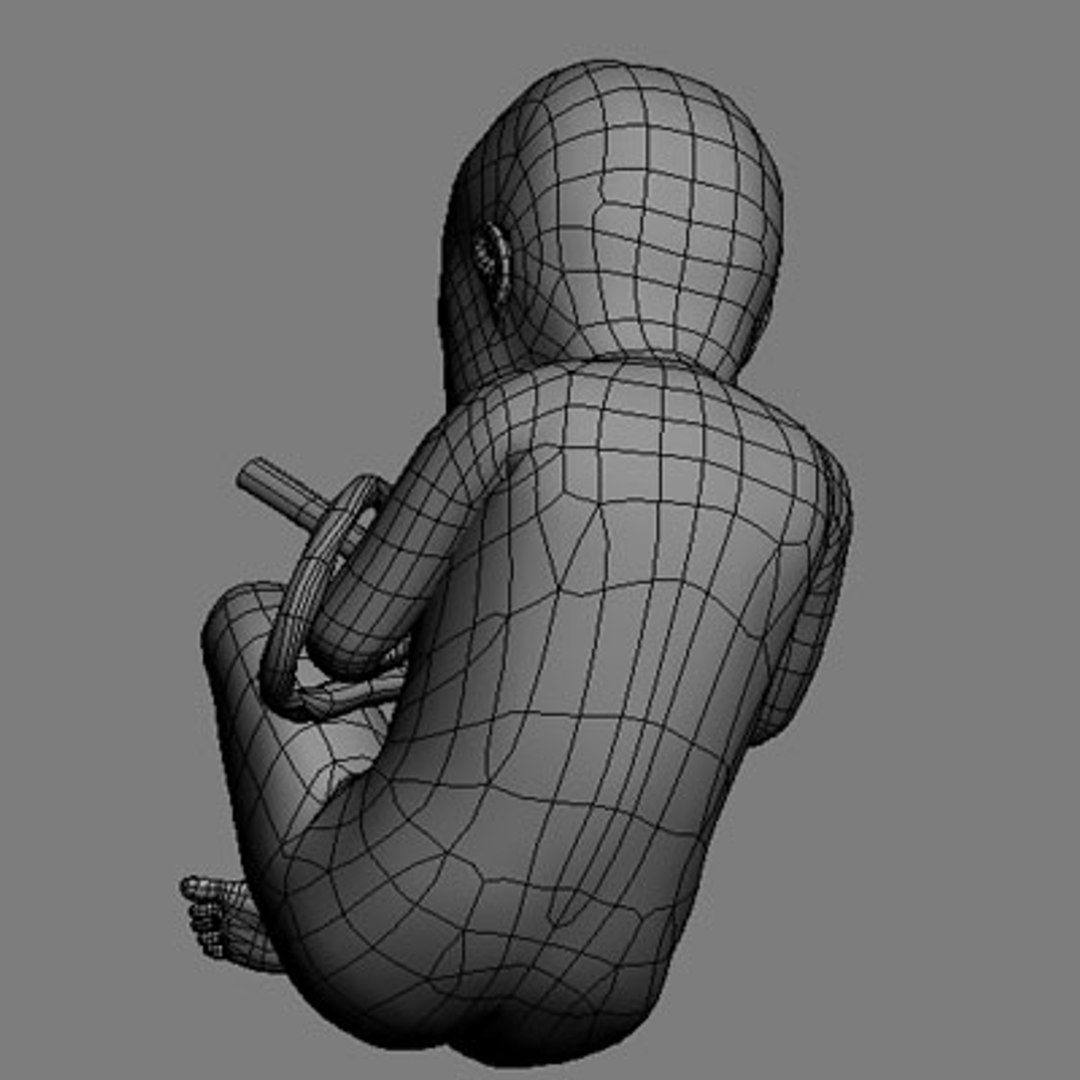 3d model fetus https://p.turbosquid.com/ts-thumb/Vz/xXOeyk/C1q82SvS/fetus_08/jpg/1278371538/1920x1080/fit_q87/880b966ee249c8d590abd39dc5cd4d114280da76/fetus_08.jpg