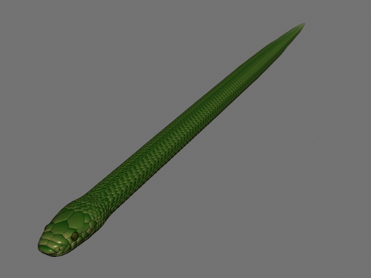 3D Rigged Snake - TurboSquid 1261377
