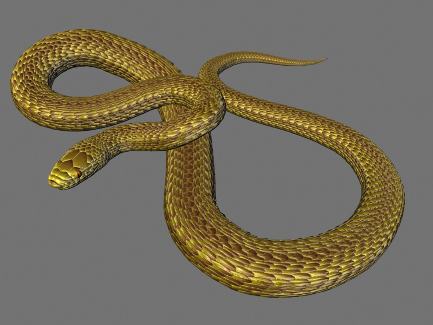 3D Rigged Snake - TurboSquid 1261377