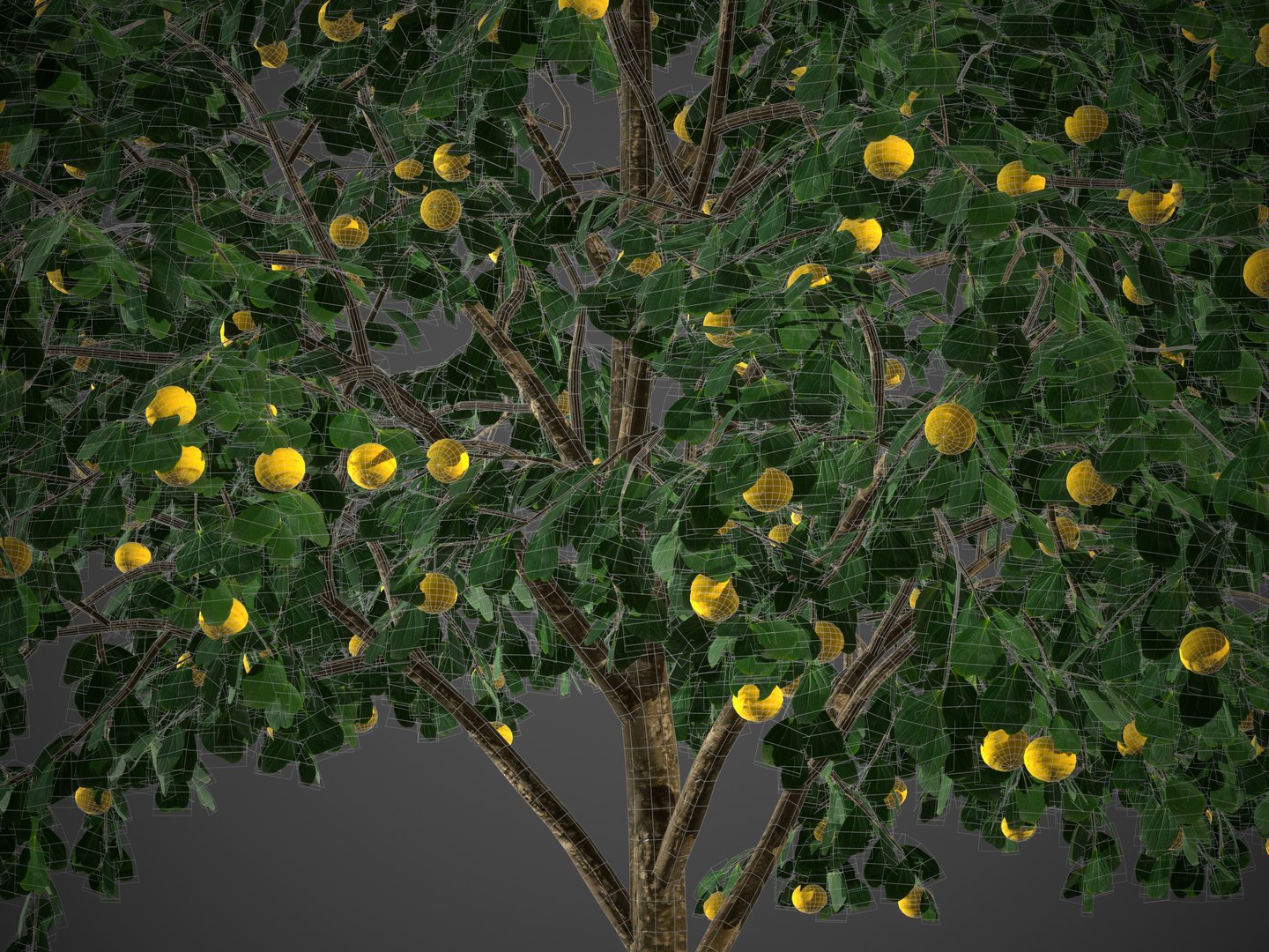 3D model 2021 PBR Kei Apple Collection - Dovyalis Caffra https://p.turbosquid.com/ts-thumb/W0/7bMZKY/oX/screenshot000/jpg/1632248121/1920x1080/fit_q87/d9b82fb4cafee60c0eac425cad94d3f80416e7f7/screenshot000.jpg