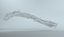 Animated Fluid