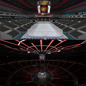 Ice Hockey Arena and Boxing Arena