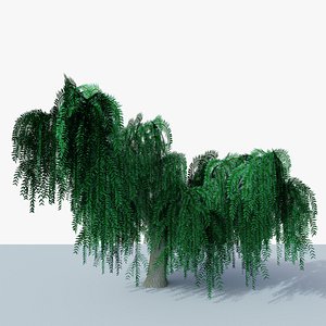 3D Weeping Willow v2