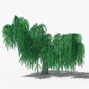 3D Weeping Willow v2