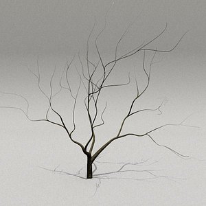 free 3ds model bare tree