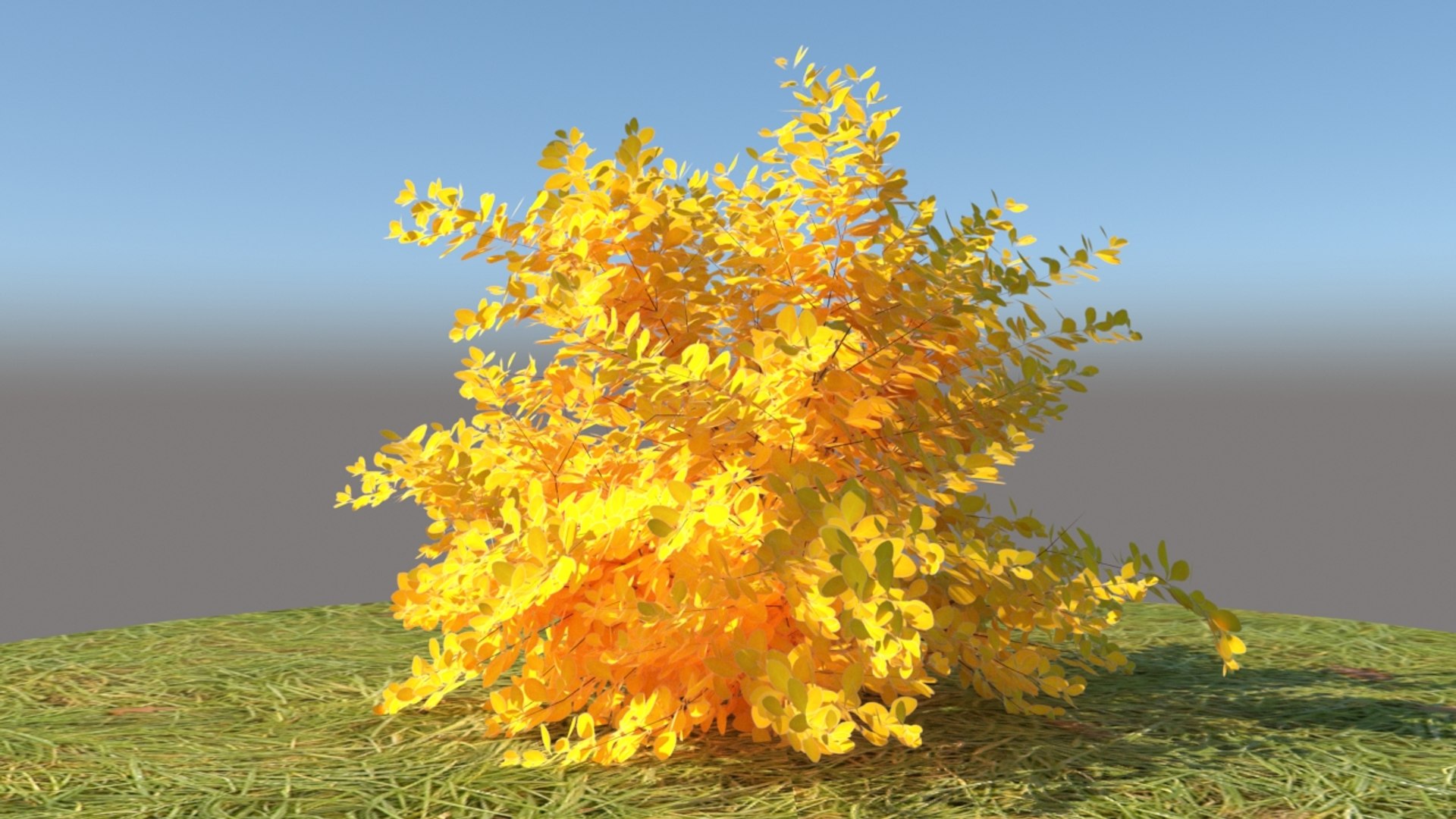3D berberis thunbergii aurea model https://p.turbosquid.com/ts-thumb/W0/PMpe9V/B0lGgVj0/4/jpg/1540409099/1920x1080/fit_q87/d362e0ef4b8bc36fc7d990a9f9cf9603bf0c2e2e/4.jpg