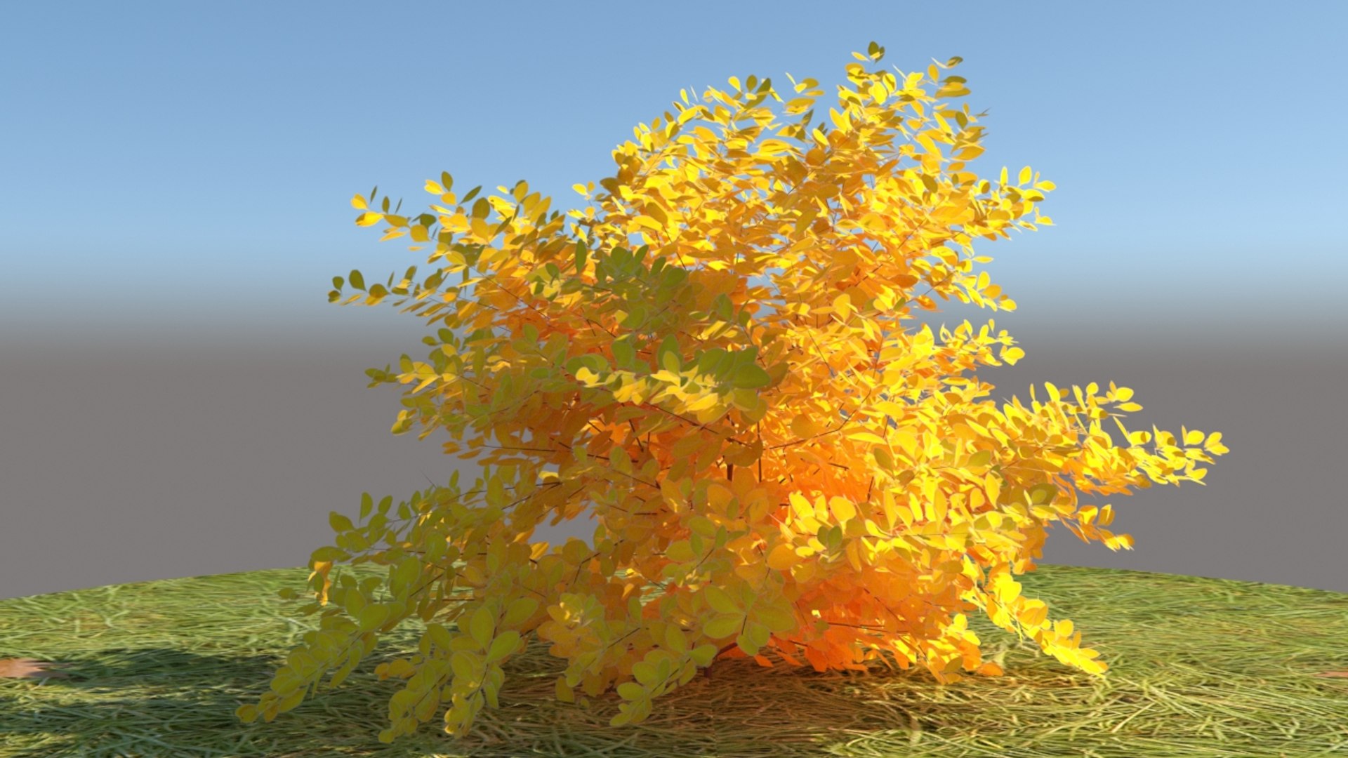 3D berberis thunbergii aurea model https://p.turbosquid.com/ts-thumb/W0/PMpe9V/EBnLe7br/2/jpg/1540409075/1920x1080/fit_q87/aa941a5c5a96522868042aa24e7399c8861e994a/2.jpg