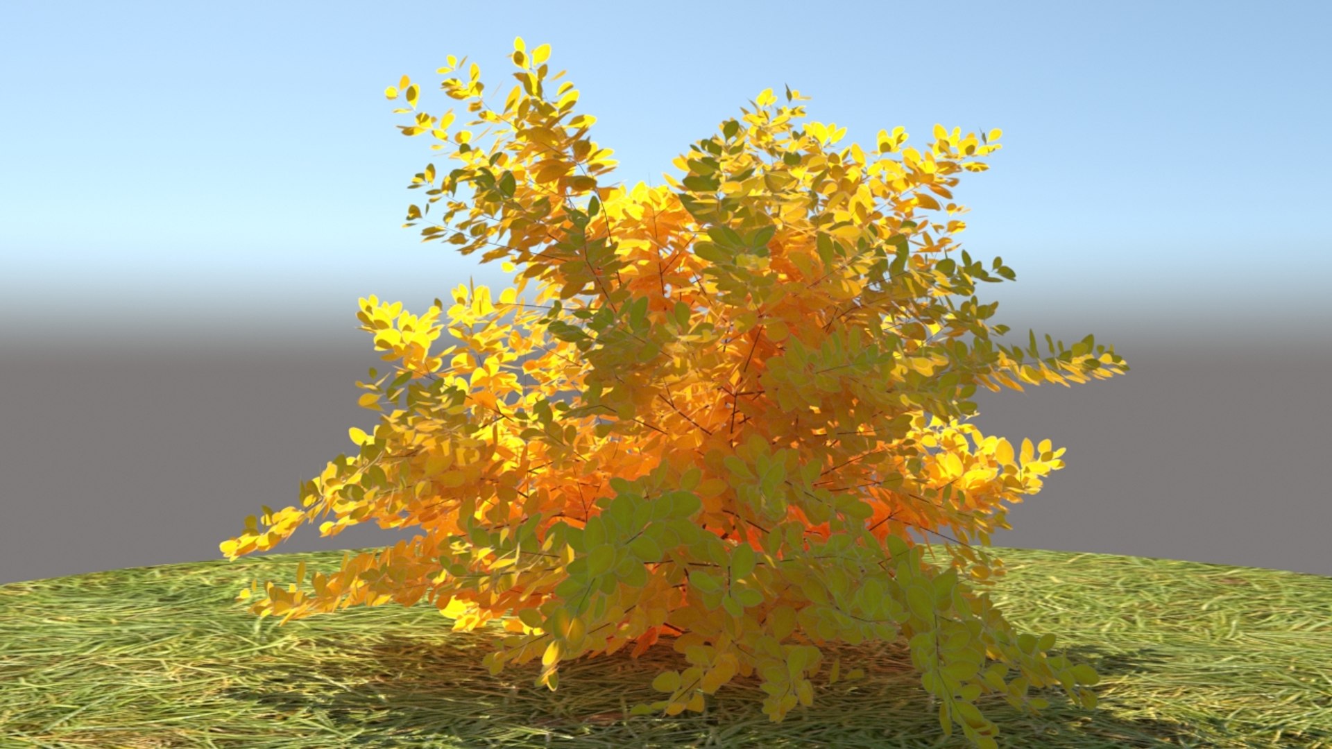3D berberis thunbergii aurea model https://p.turbosquid.com/ts-thumb/W0/PMpe9V/Kwkah93L/5/jpg/1540409111/1920x1080/fit_q87/d06635169af58fca3d5f89e170eb529599ec3b0a/5.jpg