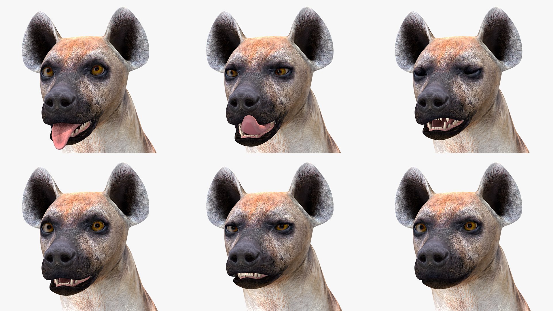 Rigged African Mammals Collection 3 3D model https://p.turbosquid.com/ts-thumb/W0/RwxB6V/4V/rigged_african_mammals_collection_3_008/jpg/1752059465/1920x1080/fit_q87/3e83b4138bed09e3772dd890e5e55a9262378812/rigged_african_mammals_collection_3_008.jpg