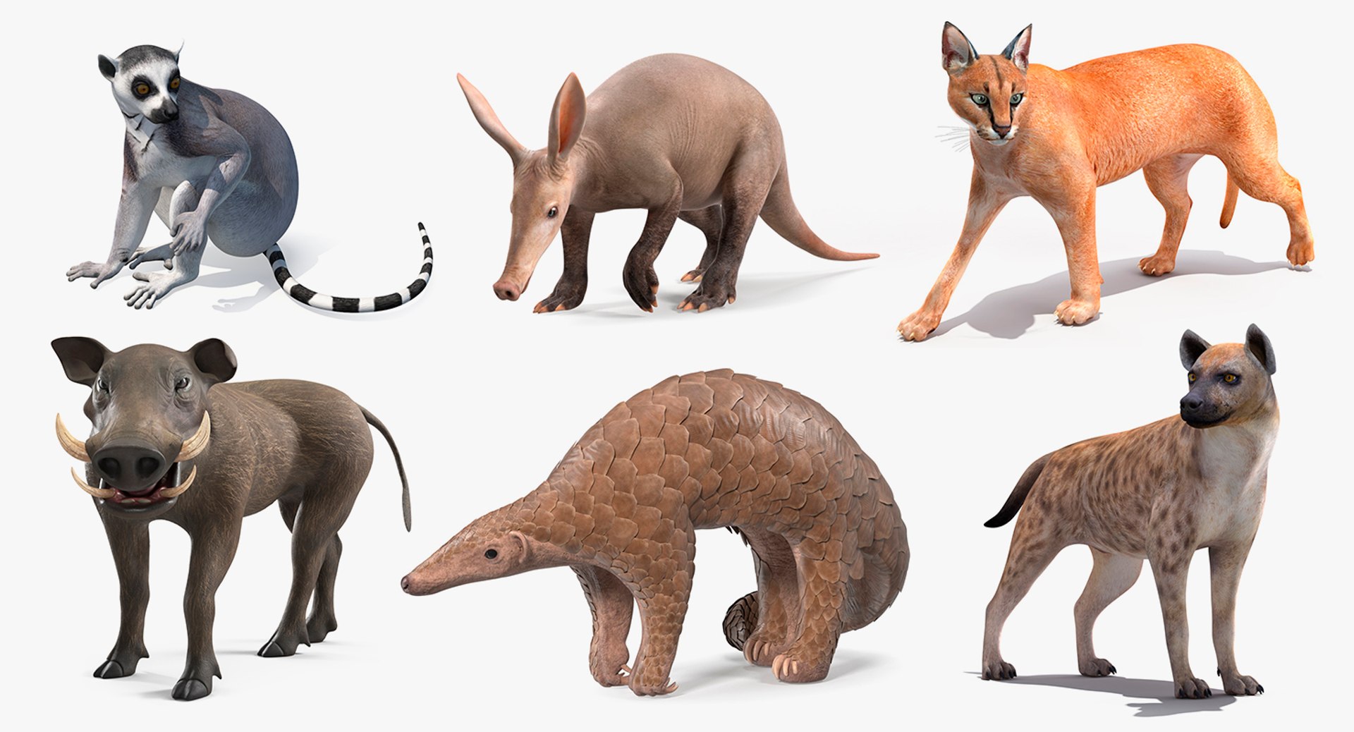 Rigged African Mammals Collection 3 3D model https://p.turbosquid.com/ts-thumb/W0/RwxB6V/7z/rigged_african_mammals_collection_3_001/jpg/1752059462/1920x1080/fit_q87/2c67937aeabed0a8e5148f6709b8dc9fb3e45f2f/rigged_african_mammals_collection_3_001.jpg