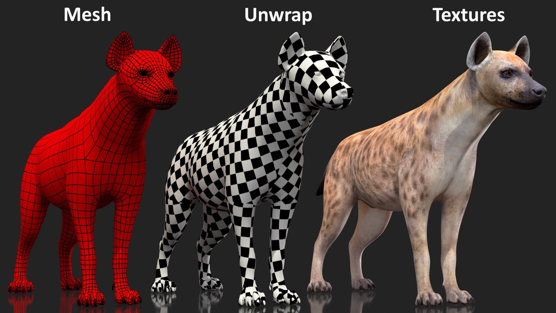 Rigged African Mammals Collection 3 3D model https://p.turbosquid.com/ts-thumb/W0/RwxB6V/Xy/rigged_african_mammals_collection_3_027/jpg/1752059480/1920x1080/fit_q87/51b0031ccdda39317020f179b11905ded59f9bf3/rigged_african_mammals_collection_3_027.jpg