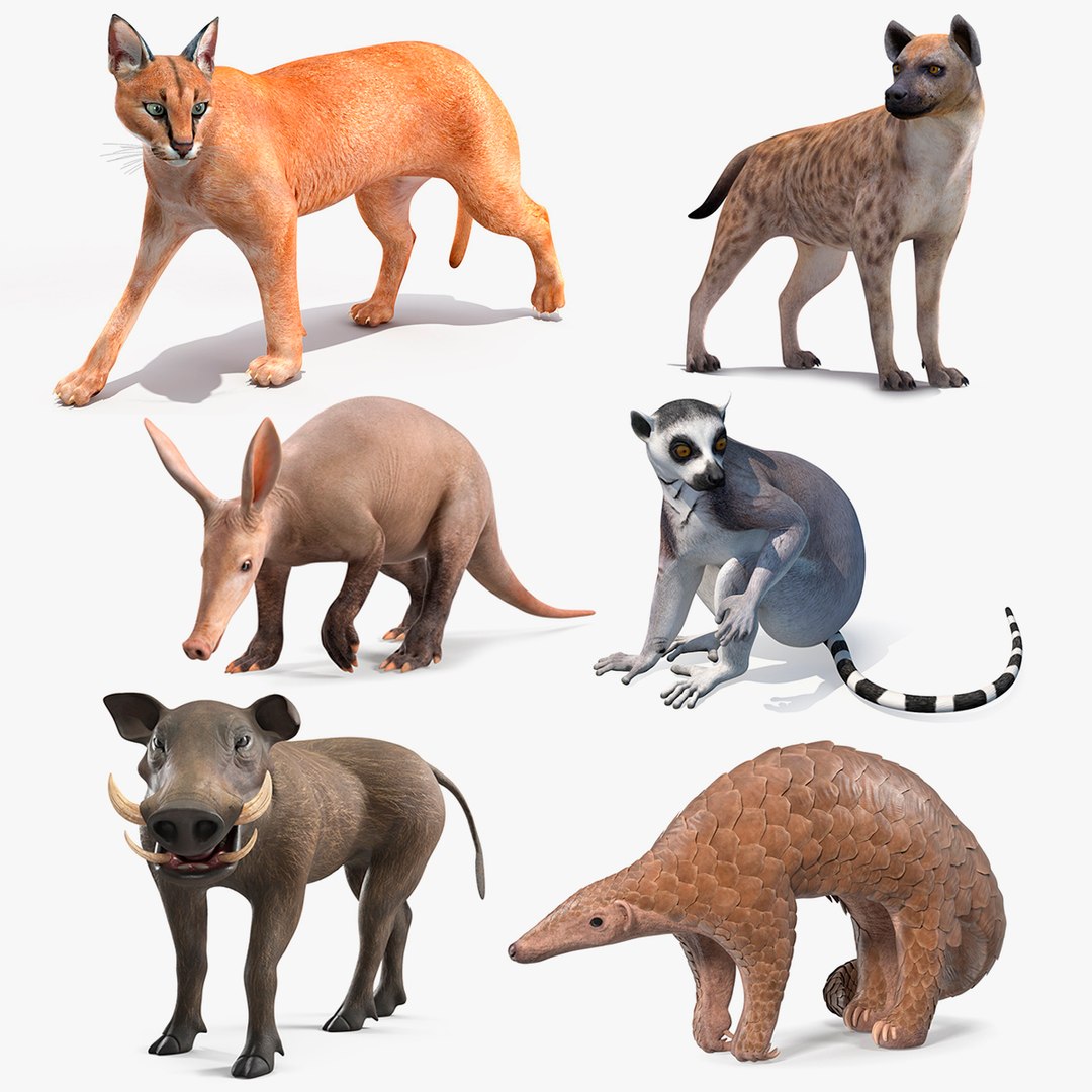 Rigged African Mammals Collection 3 3D model https://p.turbosquid.com/ts-thumb/W0/RwxB6V/hb/rigged_african_mammals_collection_3_000/jpg/1752059462/1920x1080/fit_q87/c13111b5ad4a1a3f0b8002ae50b6f5bac772fefd/rigged_african_mammals_collection_3_000.jpg