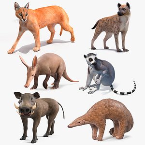 Rigged African Mammals Collection 3