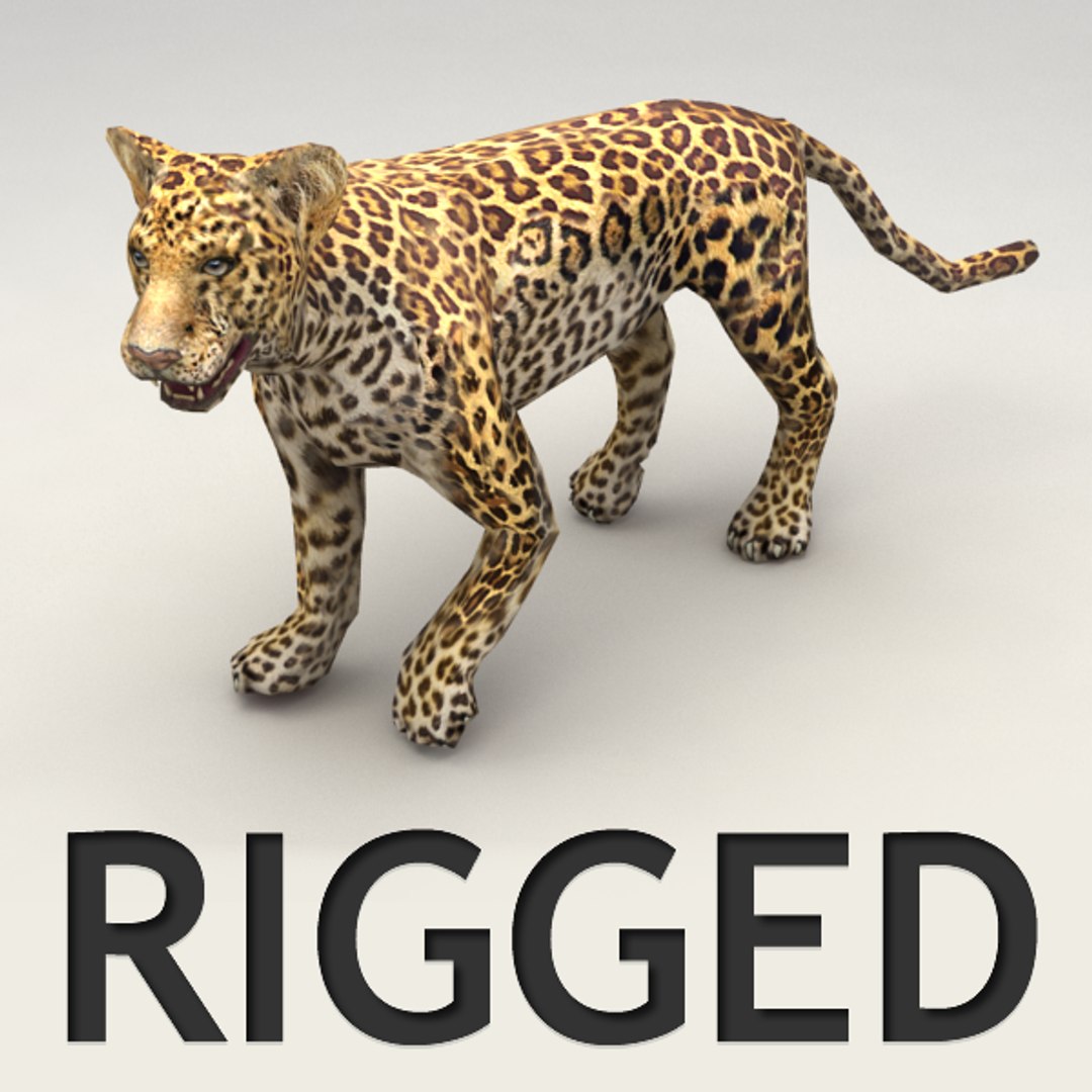 3d Rigged Leopard Model