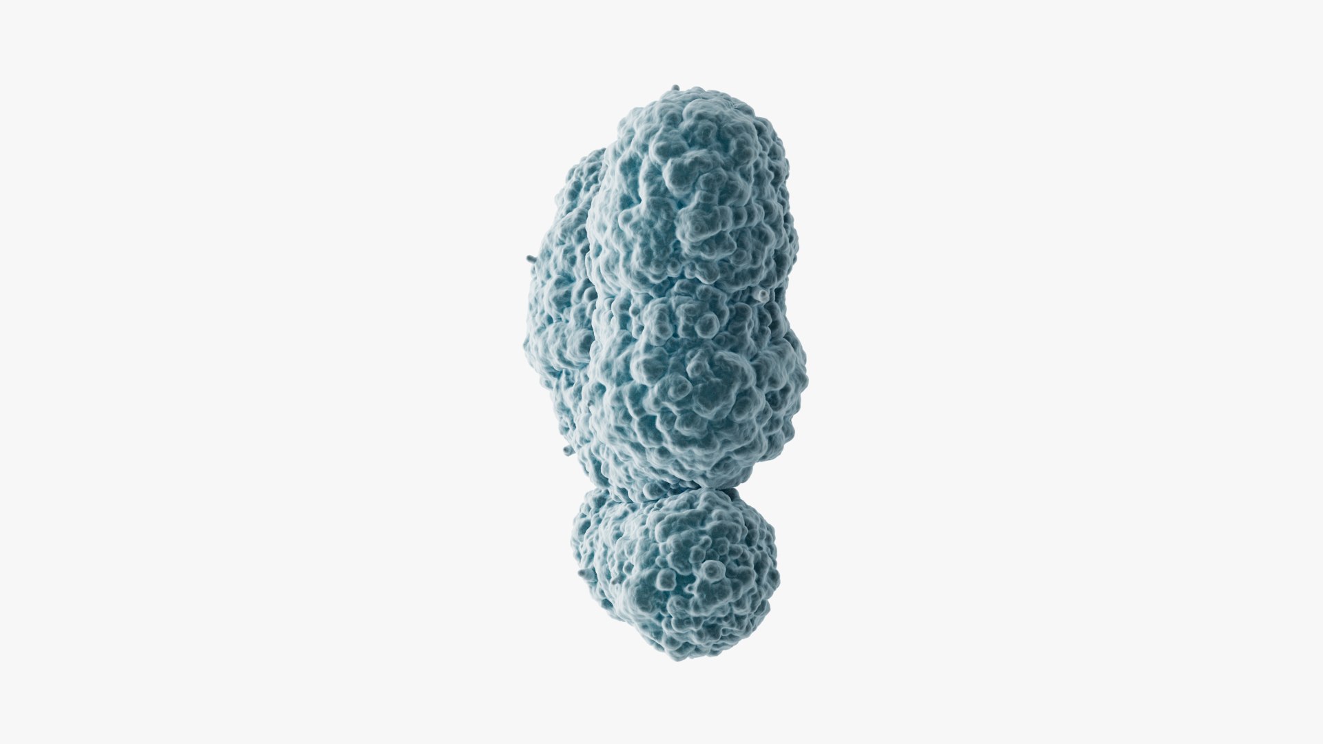 3D Chromosome Y model https://p.turbosquid.com/ts-thumb/W0/U27VDl/13/images_004/jpg/1715682926/1920x1080/fit_q87/f2eff5910211d3085e8b1004901556f4fc99f738/images_004.jpg