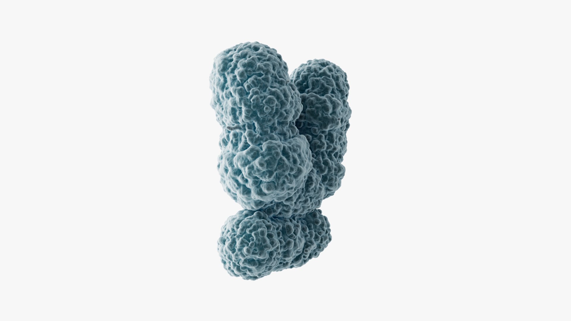 3D Chromosome Y model https://p.turbosquid.com/ts-thumb/W0/U27VDl/LG/images_003/jpg/1715682924/1920x1080/fit_q87/bdea42f26f1d62d76d32b4ac0486452e69a332a6/images_003.jpg