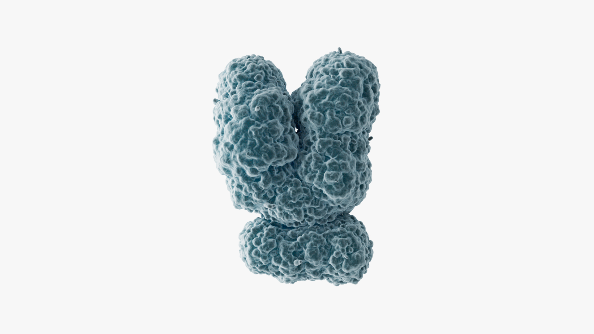 3D Chromosome Y model https://p.turbosquid.com/ts-thumb/W0/U27VDl/pD/turntable/jpg/1715682965/1920x1080/turn_fit_q99/85fe936e4870c4905766795001bc2d7e3304d785/turntable-1.jpg