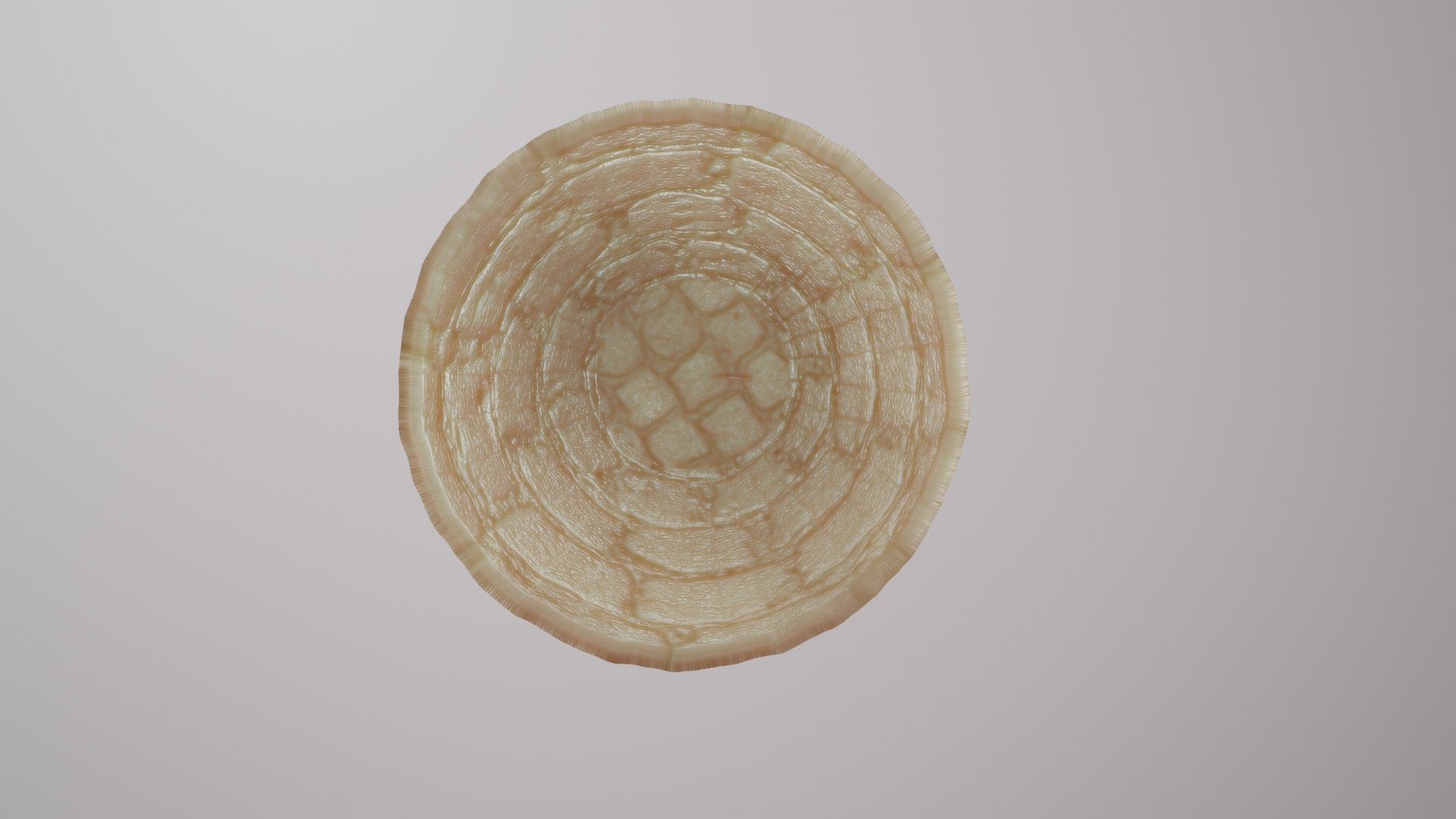 vase 3D model https://p.turbosquid.com/ts-thumb/W0/UTZ7Nn/tw/vase50001/jpg/1654059038/1920x1080/fit_q87/6bf730f710d23e61d832aaeafb699754f9a03ac4/vase50001.jpg