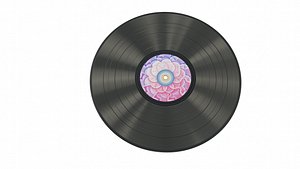 VINYL DISC