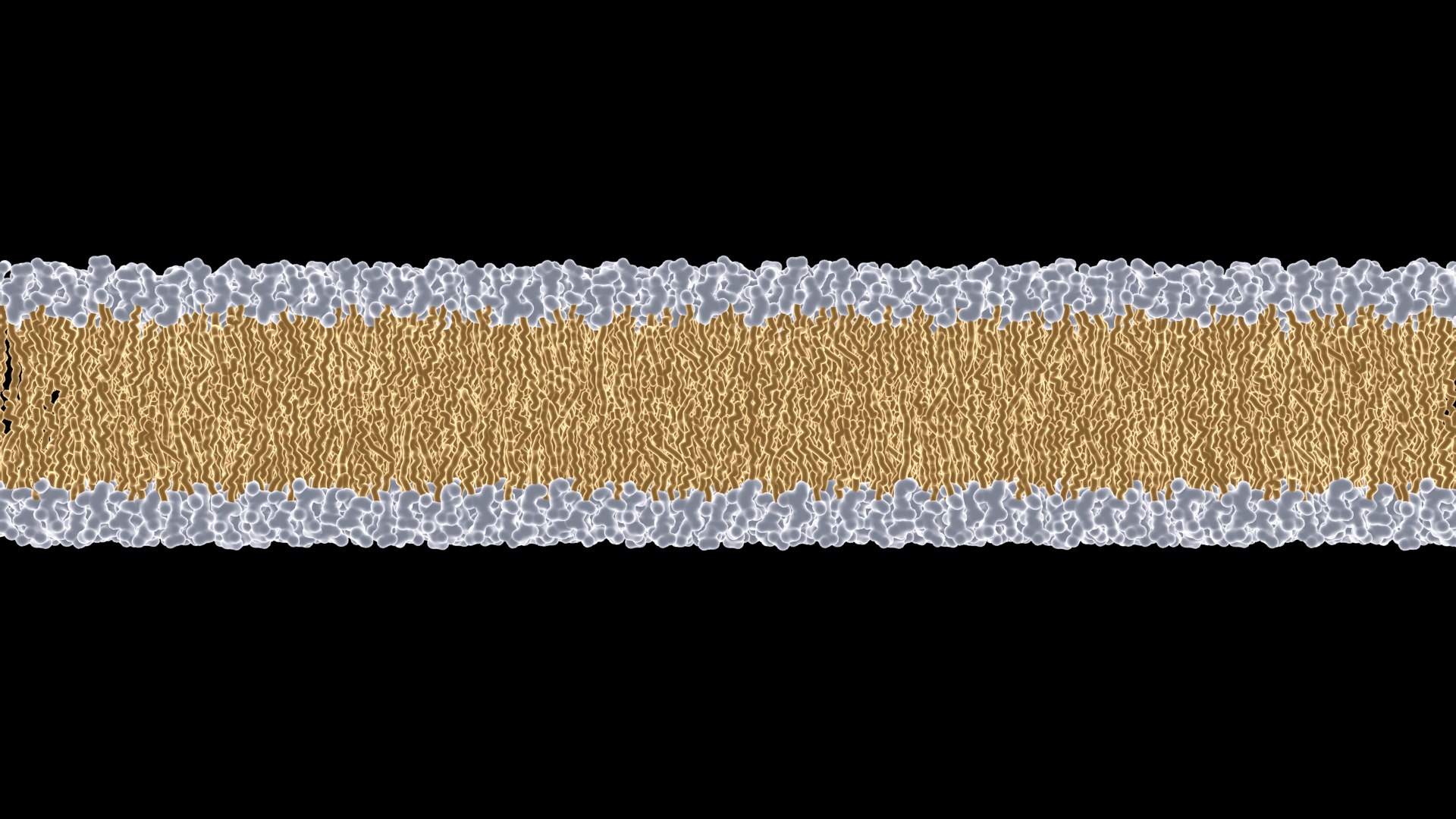 3D Animated Cell Membrane - TurboSquid 2270740