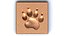 3D Paw