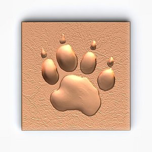 Paw