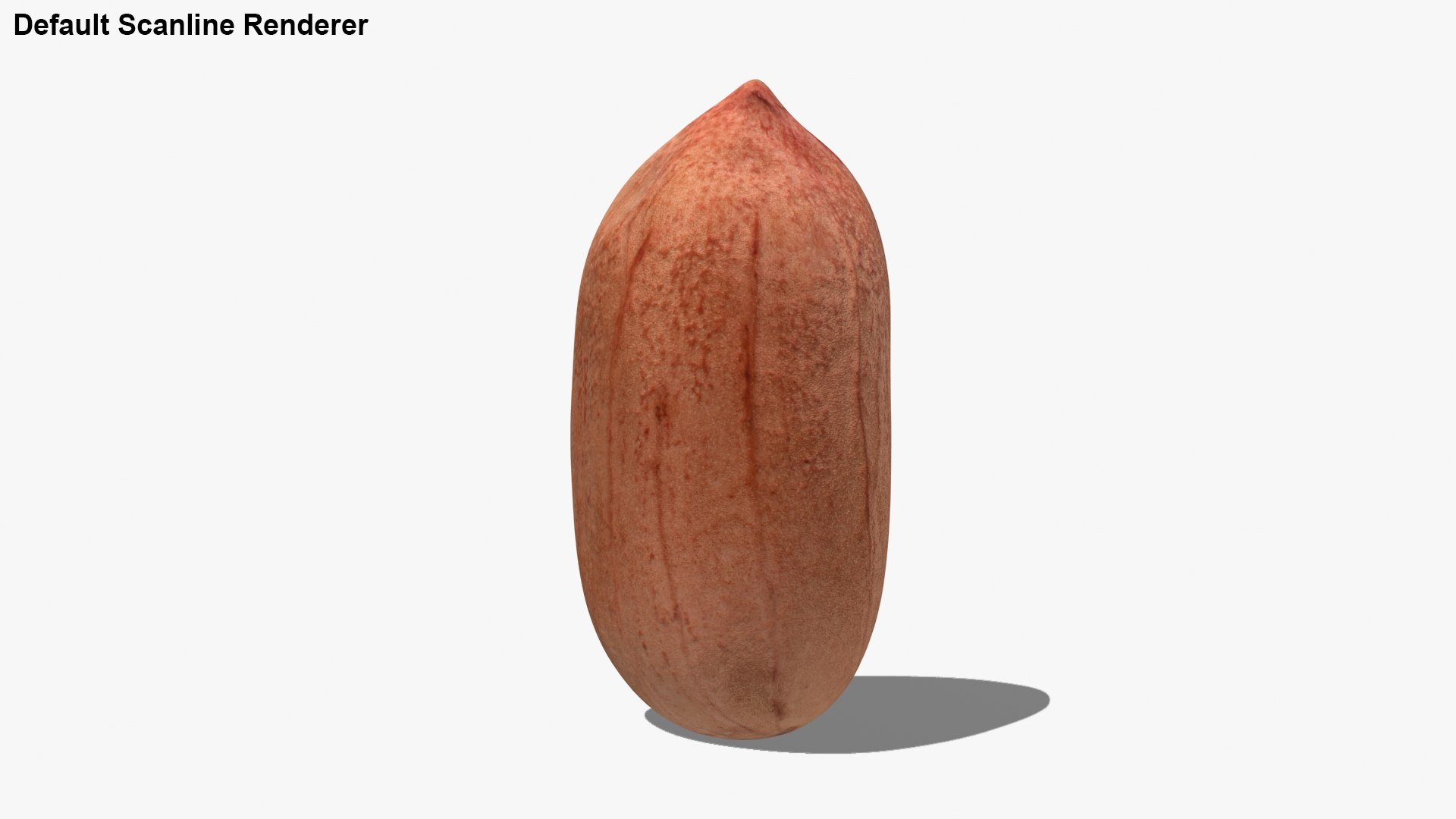 3D Peanut Kernel 02 - TurboSquid 1954423