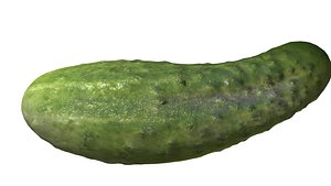 3 3d model