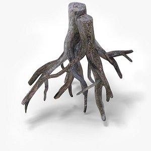 tree roots 3d model