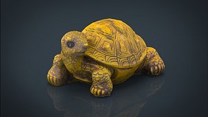 3D model turtle