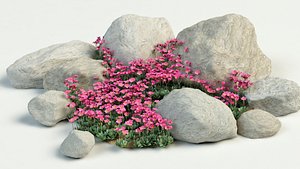 3dsmax saxifrage flower garden