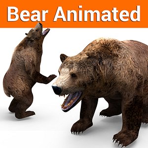 3D brown bear animation