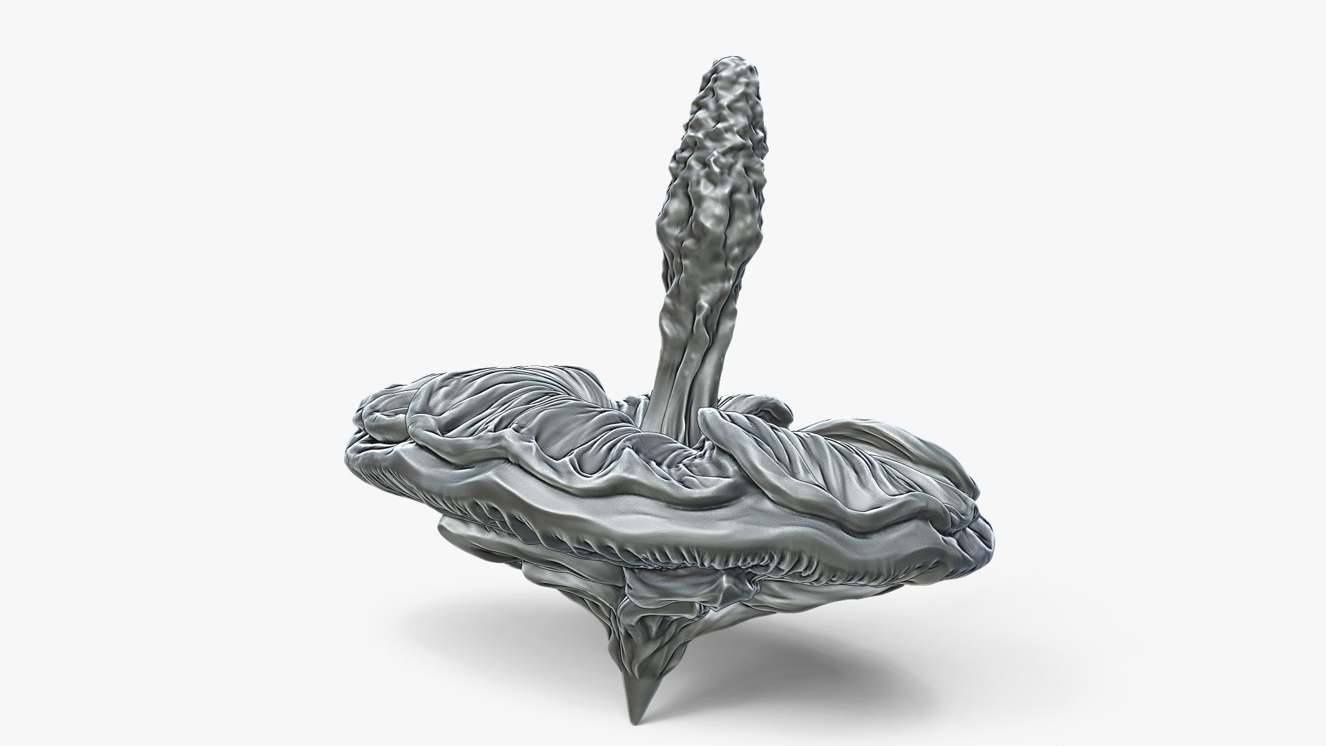 Mallow Flower Spinning Top Toy or Decor 3D model https://p.turbosquid.com/ts-thumb/W1/Xj2bJH/P0/mallowsculpturepreview/jpg/1751244455/1920x1080/fit_q87/12cd86edc45e3dded69fe06840b25a21700ec529/mallowsculpturepreview.jpg