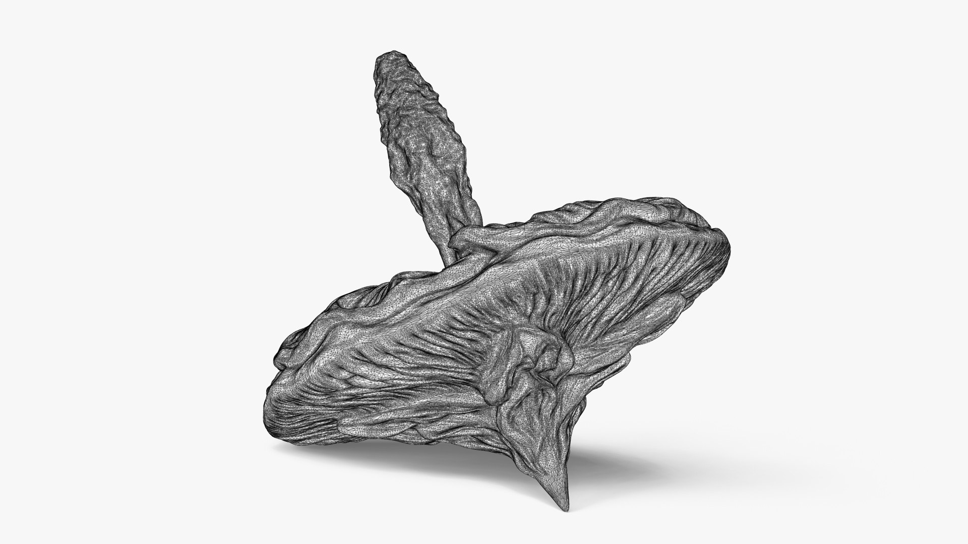 Mallow Flower Spinning Top Toy or Decor 3D model https://p.turbosquid.com/ts-thumb/W1/Xj2bJH/cf/mallowspinnerwireframe1/jpg/1751244372/1920x1080/fit_q87/9e8b7be280438343cf9ce83fe138303cb73d7711/mallowspinnerwireframe1.jpg