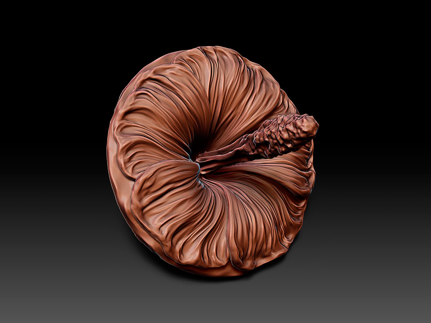 Mallow Flower Spinning Top Toy or Decor 3D model https://p.turbosquid.com/ts-thumb/W1/Xj2bJH/k7/mallowsculpture3/jpg/1751242892/1920x1080/fit_q87/054f2a7c6917b2ad8791c2c48e21c57af6ed67d5/mallowsculpture3.jpg