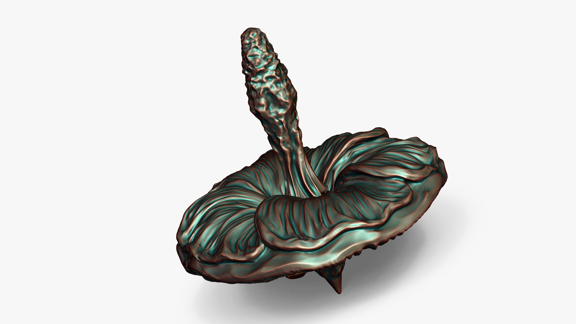 Mallow Flower Spinning Top Toy or Decor 3D model https://p.turbosquid.com/ts-thumb/W1/Xj2bJH/sG/mallowsculpture4/jpg/1751246411/1920x1080/fit_q87/303e08742fb3ebc56e4c086095b5956e8c5cc313/mallowsculpture4.jpg