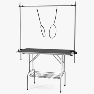 Pet Grooming Table 3D model